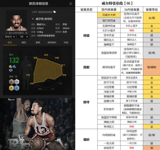 威尔特 张伯伦赛季数据统计