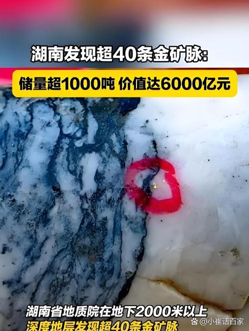 掘金宝真实情况