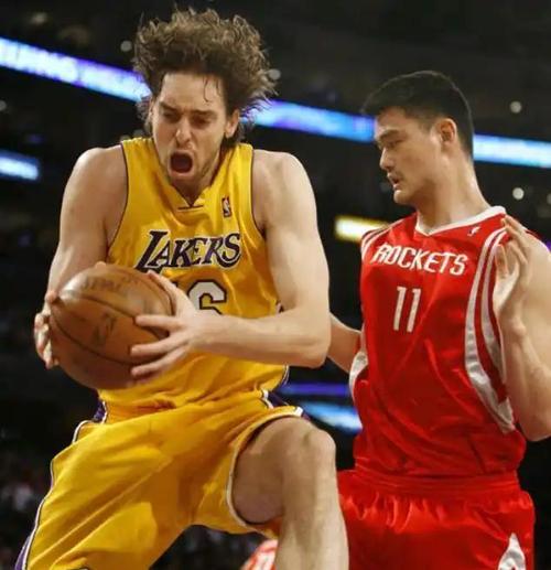 姚明和加索尔历史地位