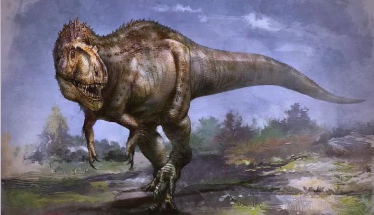 猛龙是什么动物