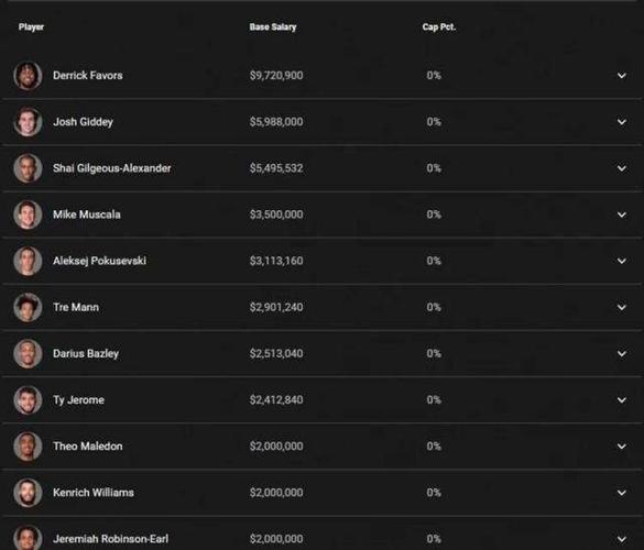 nba球队薪资结构排名