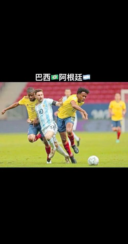 世界杯巴西战绩