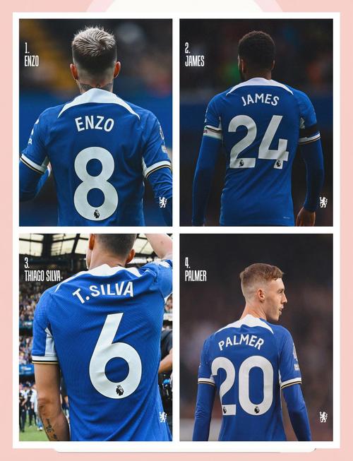 费尔南德斯号码