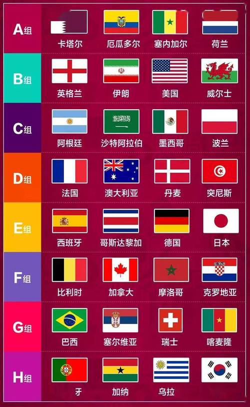 举行世界杯的国家