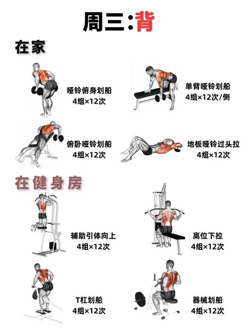 举重属于什么功能