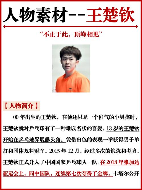 武汉当代球员介绍