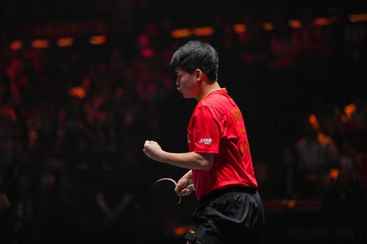 乒乓大满贯有哪些赛事